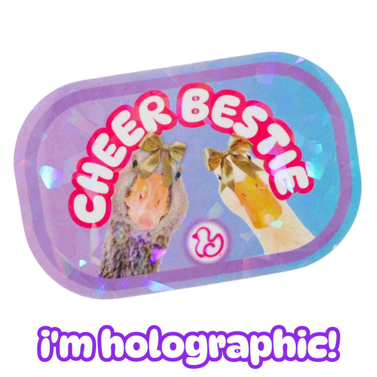 Cheerleader Sticker Variety Pack